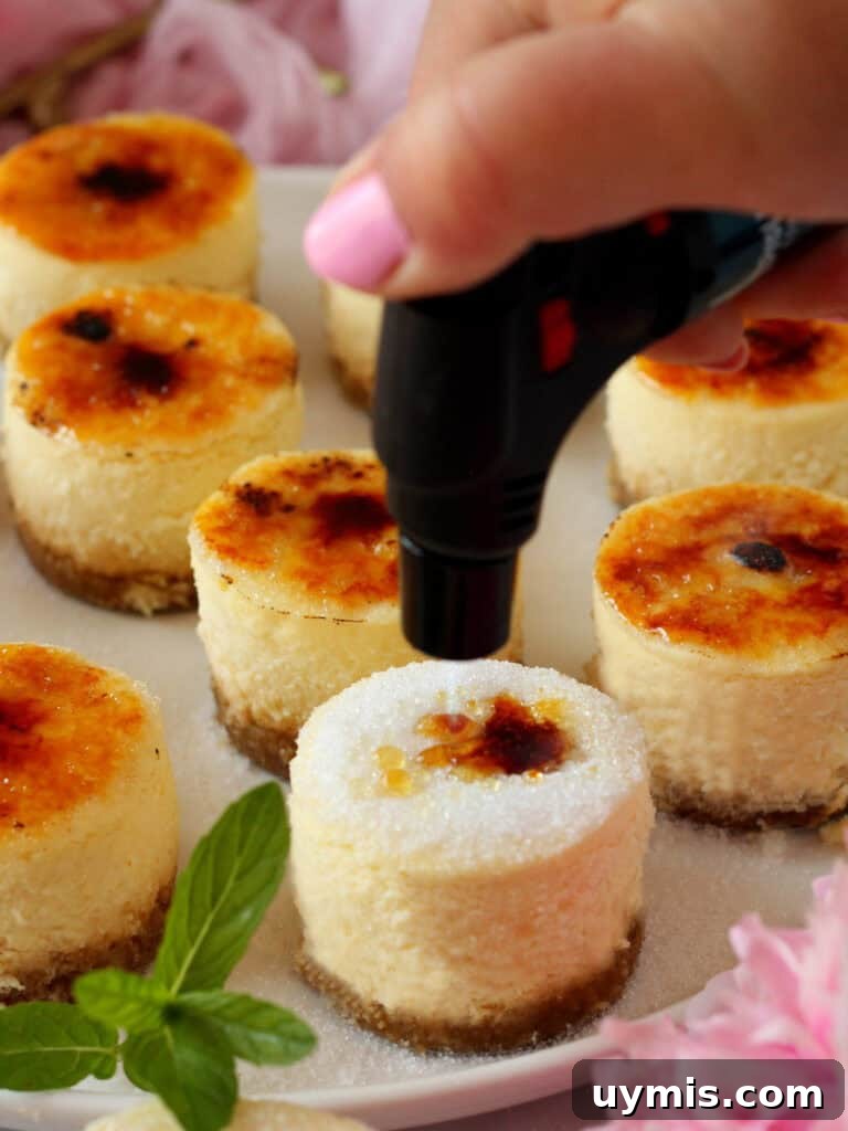 Mini Crème Brûlée Cheesecake Bites Recipe 19 Torching mini creme brulee cheesecake.