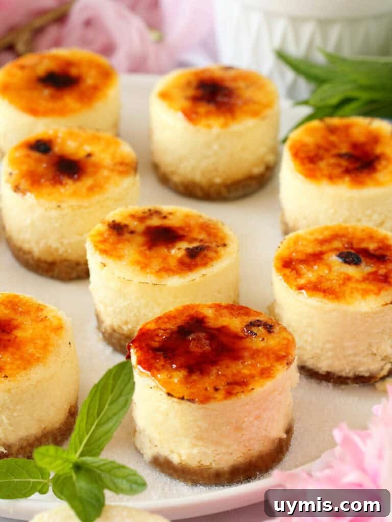 Mini Crème Brûlée Cheesecake Bites Recipe 20 Beautiful mini cheesecake with caramelized top.