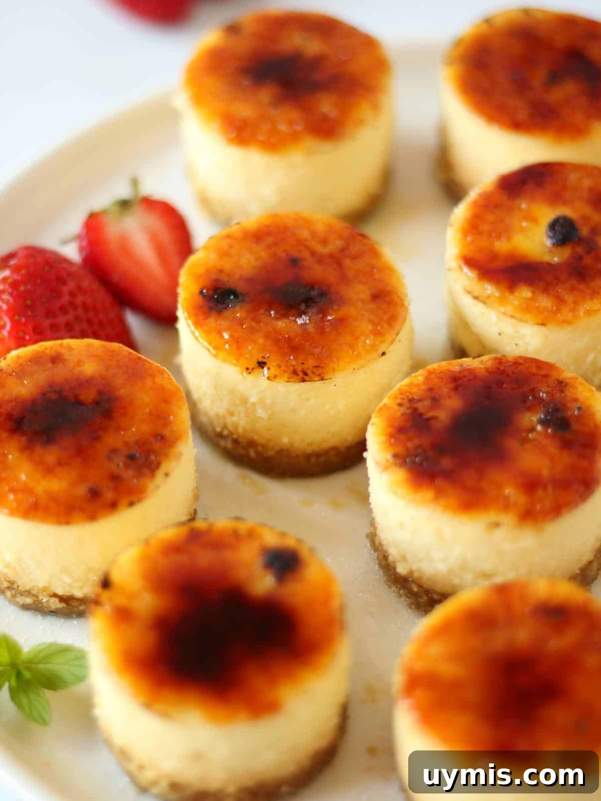Mini Crème Brûlée Cheesecake Bites Recipe 22 Beautiful mini cheesecake with creme brulee flavour and with caramelized top.