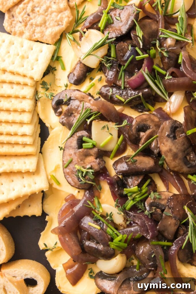 butter board with mushrooms and onions, herbs and crackers