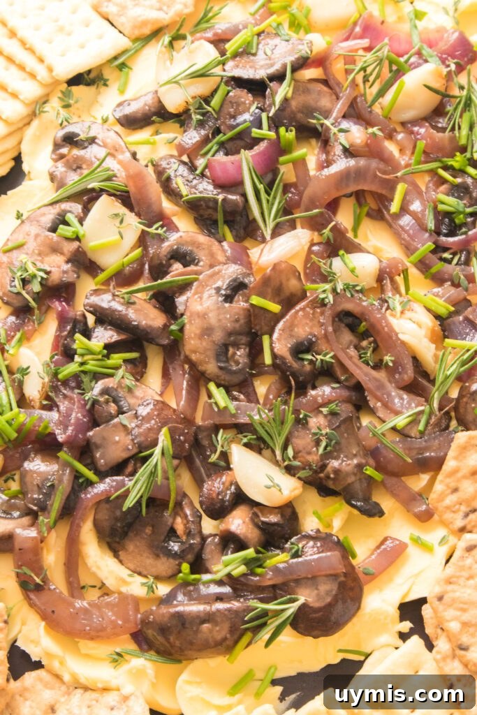 close up shot of a butter board with mushrooms and onions