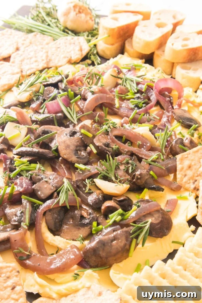 close up shot of mushroom and onion butter board with crackers and bread