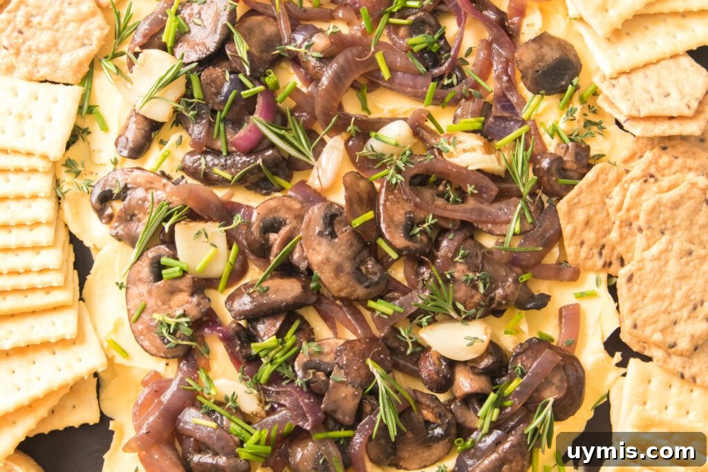 crackers and bread for mushroom and onion butter board
