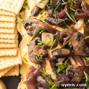 Overhead shot of a mushroom and onion butterboard