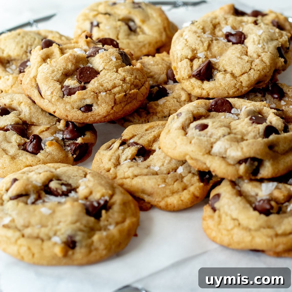 Chewy Dairy-Free Chocolate Chip Cookies 2 dairy free chocolate chip cookies sprinkled with sea salt on a tray