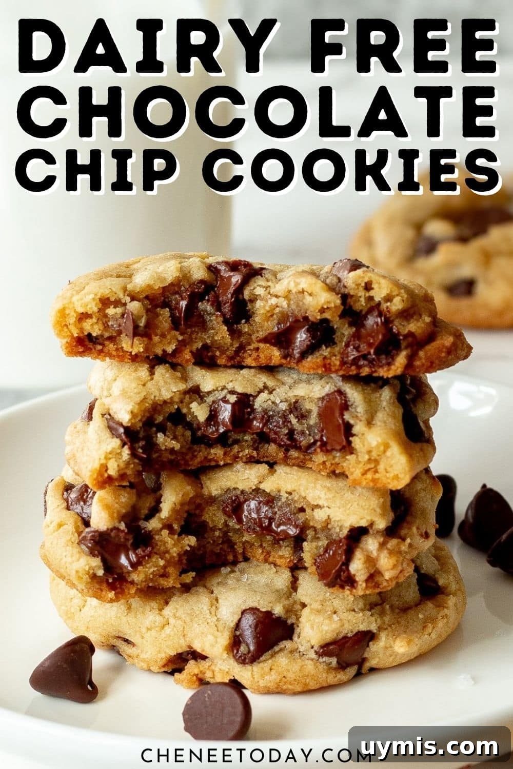 Chewy Dairy-Free Chocolate Chip Cookies 6 dairy free chocolate chip cookies sprinkled with sea salt on a tray
