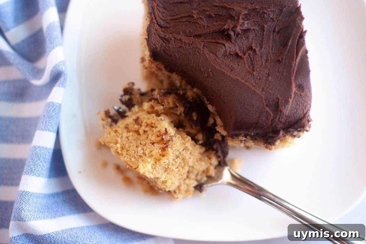 27 Chocolate Desserts You Can't Keep at Home 12 A close-up of a graham cracker cake with a chocolate frosting layer on top, placed on a white plate.