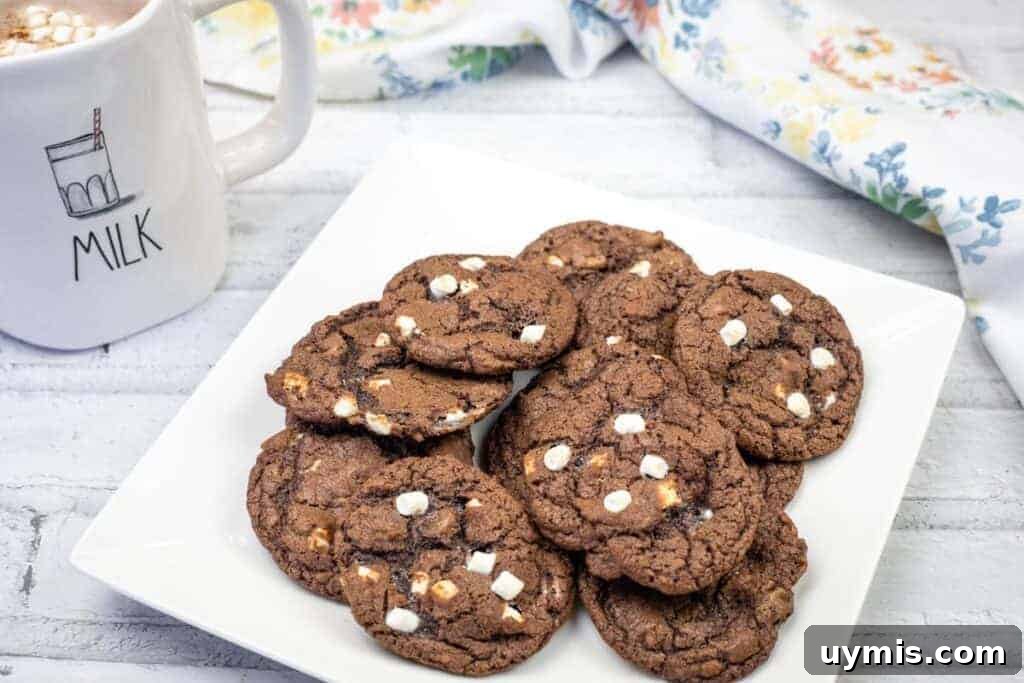 27 Chocolate Desserts You Can't Keep at Home 18 A white square plate with a stack of chocolate cookies featuring white chocolate chips.