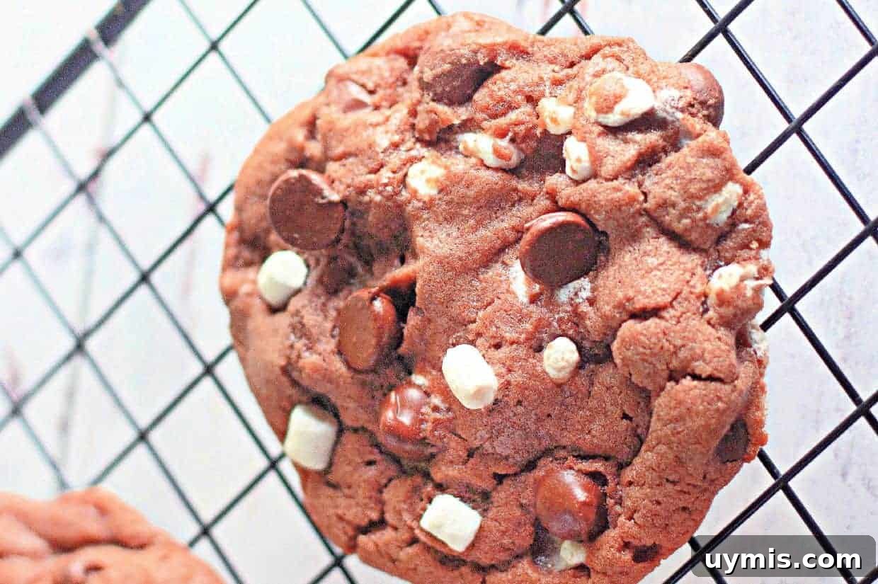 27 Chocolate Desserts You Can't Keep at Home 21 A close-up of a cocoa chip cookie with white and dark chocolate chunks resting on a black cooling rack.