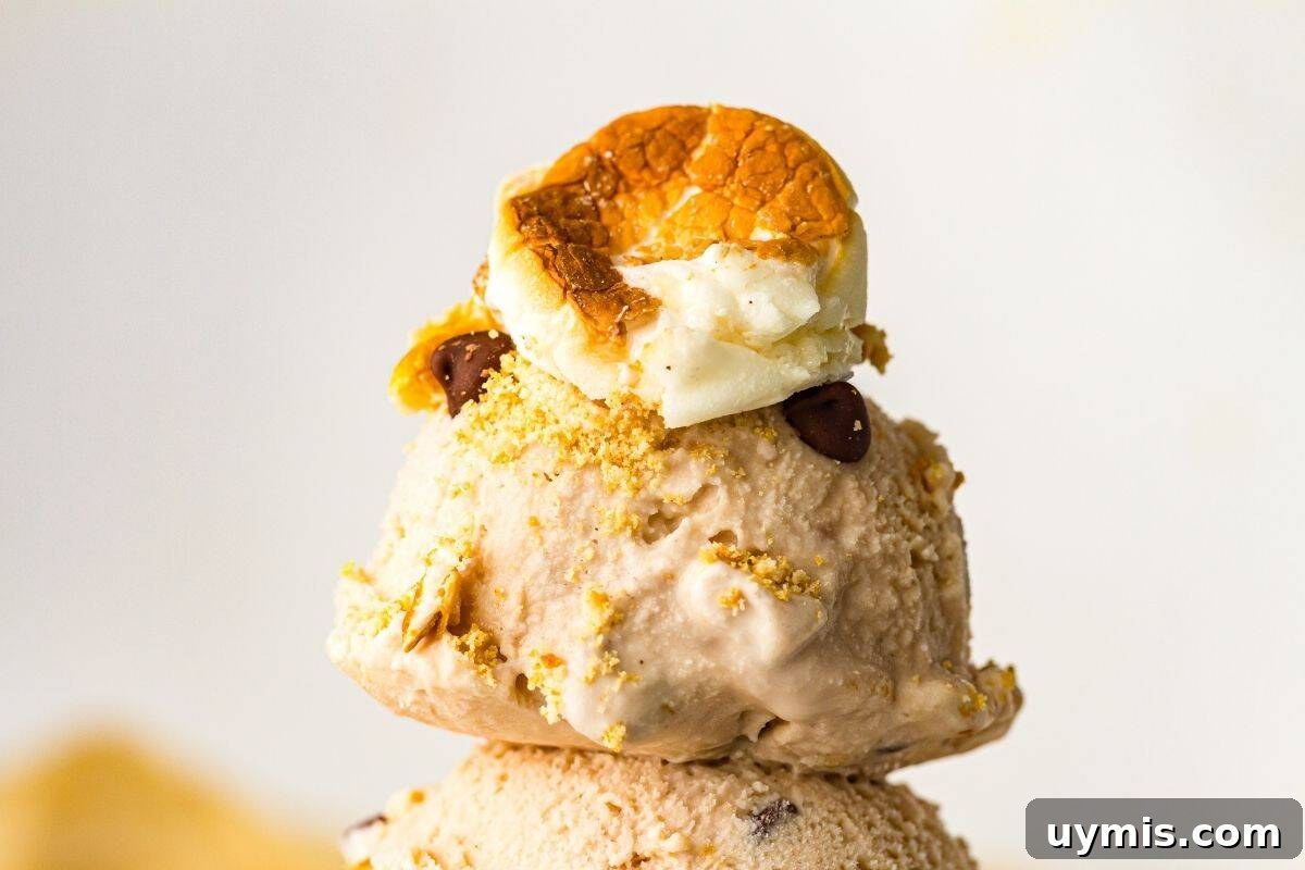 27 Chocolate Desserts You Can't Keep at Home 22 A scoop of S’mores ice cream topped with crushed graham crackers, chocolate chips, and a toasted marshmallow.