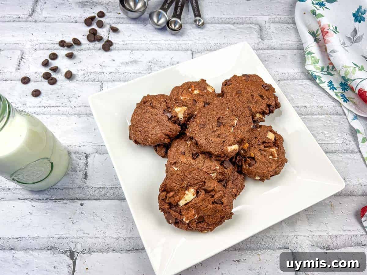 27 Chocolate Desserts You Can't Keep at Home 29 Chocolate overload cookies on a white plate.