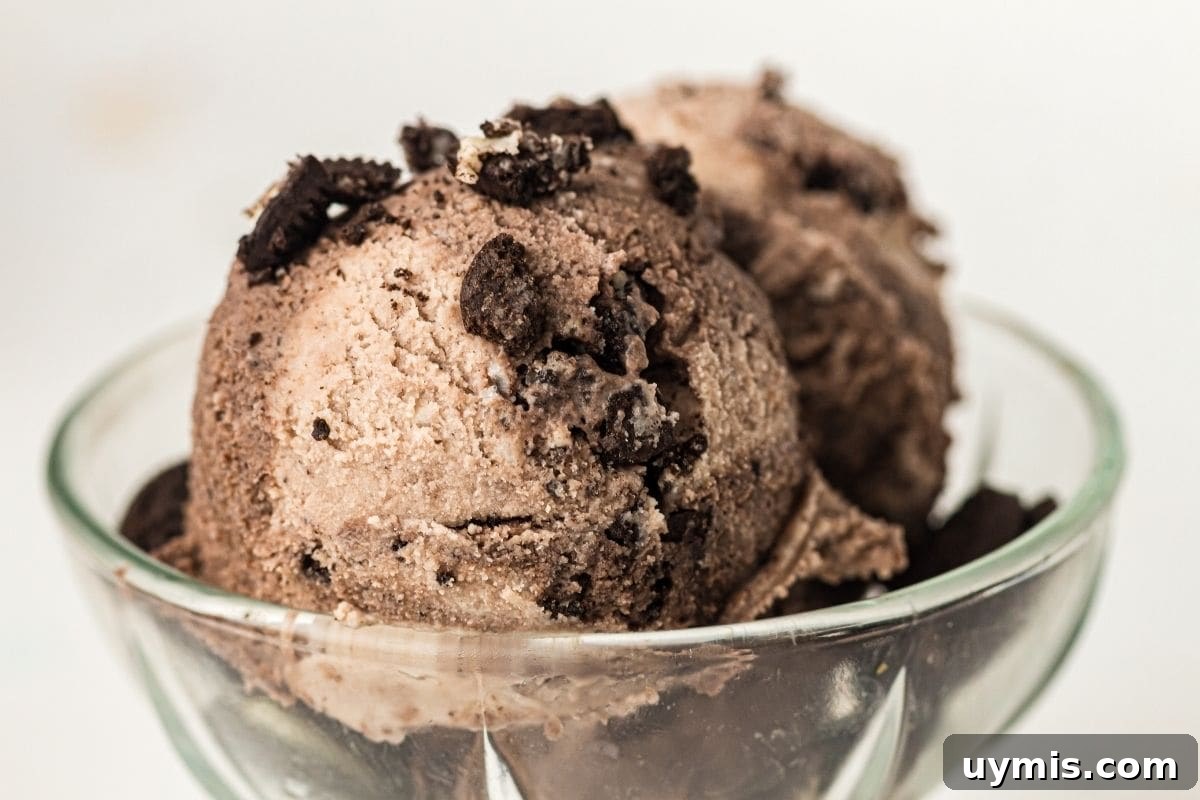 27 Chocolate Desserts You Can't Keep at Home 7 Two scoops of Cookies And Cream Ninja Creami Ice Cream in a clear glass bowl.