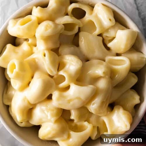 Copycat Panera Mac and Cheese Recipe 9 Panera-style mac and cheese in a bowl.