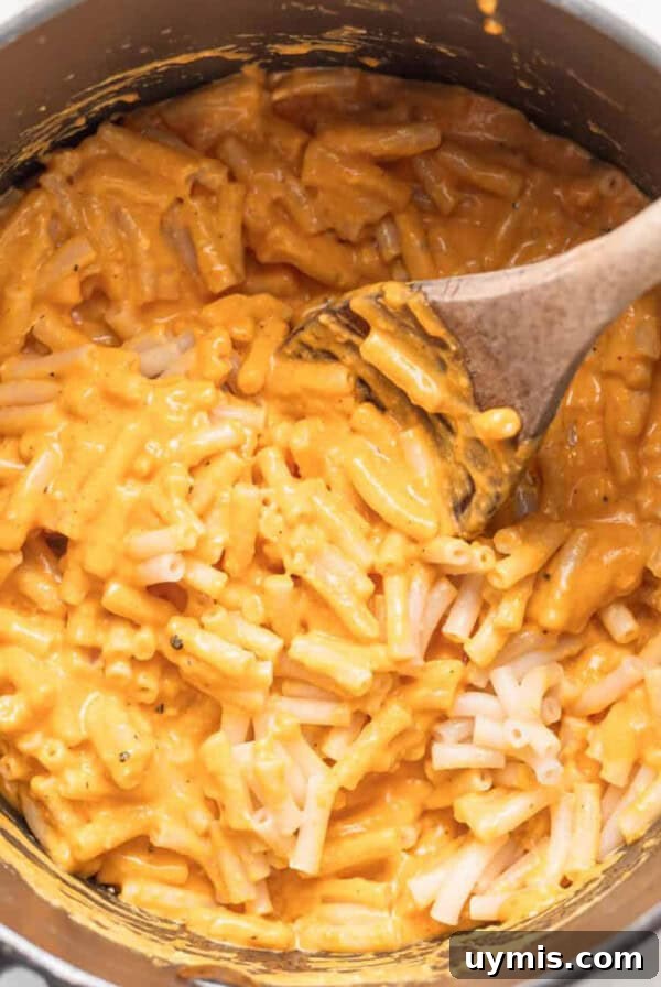 Copycat Panera Mac and Cheese Recipe 5 Box mac and cheese in a pot.