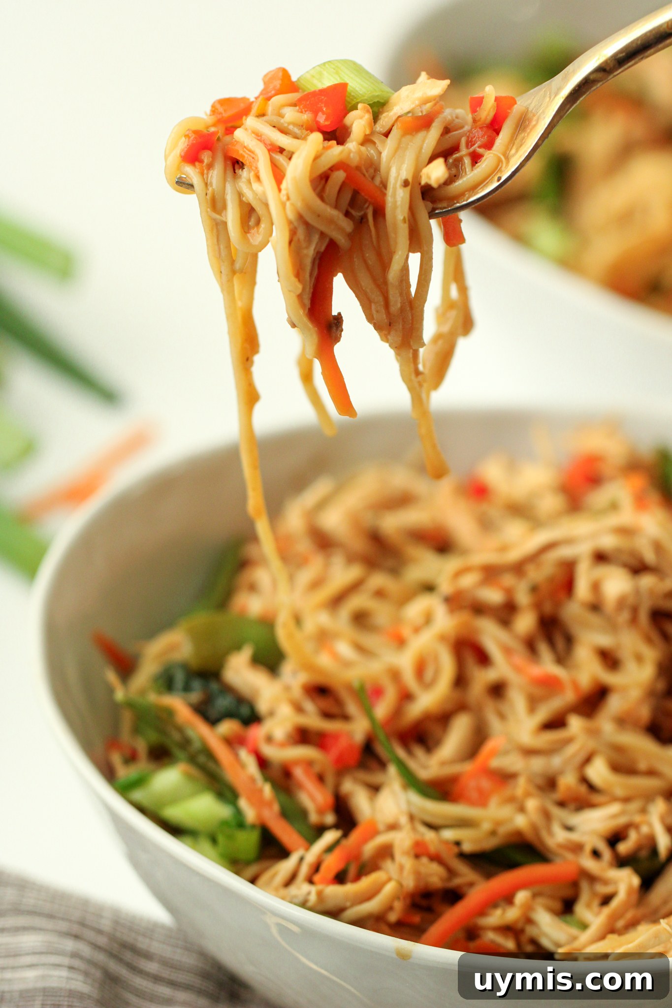 Gluten-free Chicken Ramen - An EASY family dinner that can be made in the Instant Pot or a slow cooker. Gluten-free, dairy-free, and naturally nut-free and egg-free. Can be a 30-minute meal!
