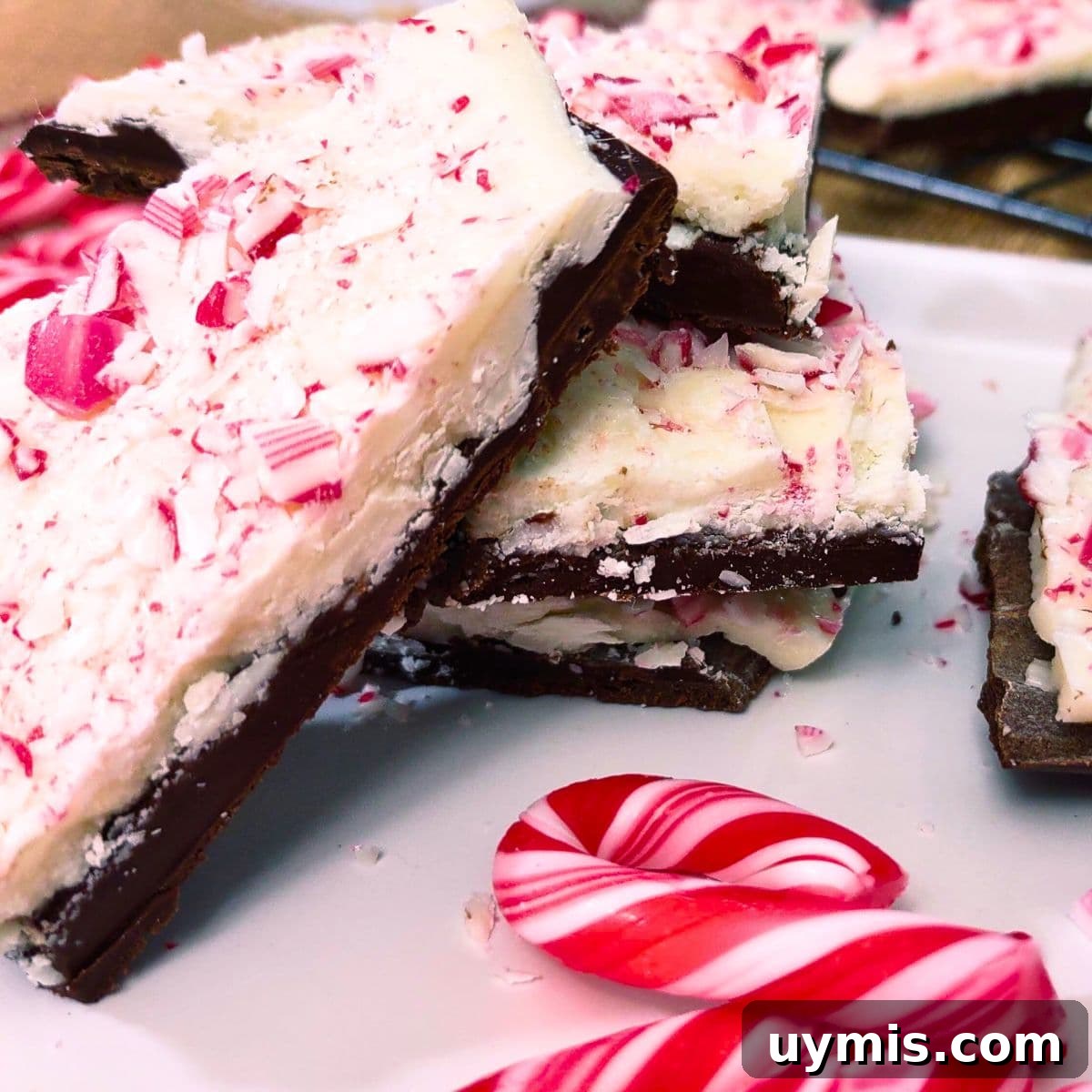 Fall Pumpkin Rice Krispie Treats with Rolos 14 how to make peppermint bark in the microwave dinners done quick featured image