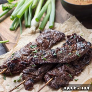Thai Beef Satay (Low carb, Keto, Paleo)