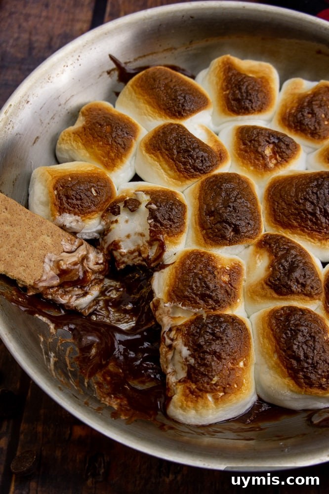 a steel pan with golden brown marshmallows and a graham cracker scooping out marshmallow and chocolate