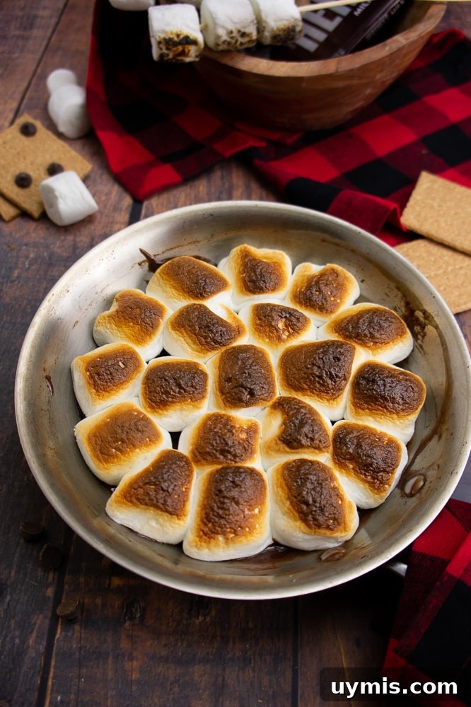 a pan with oven s'mores dip on a wooden table with a red and black checkered napkin and graham crackers