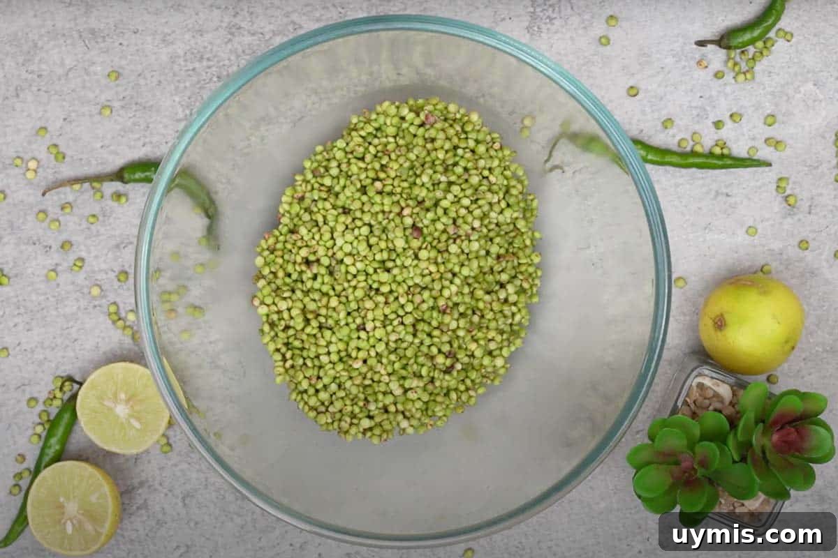 Ponk Bhel (Hurda) Recipe: Gujarati Tender Sorghum Snack 4 Warm hurda added to a bowl.