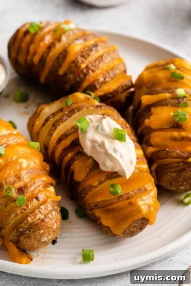 Cheesy hasselback potatoes topped with sour cream and green onions on a plate.