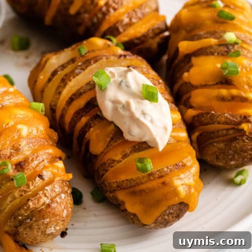 Cheesy hasselback potatoes topped with sour cream and green onions.