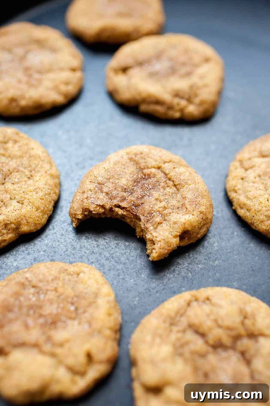 Pumpkin Snickerdoodle Cookies 2 Freshly baked pumpkin snickerdoodle cookies on a countertop, with one cookie showing a bite.