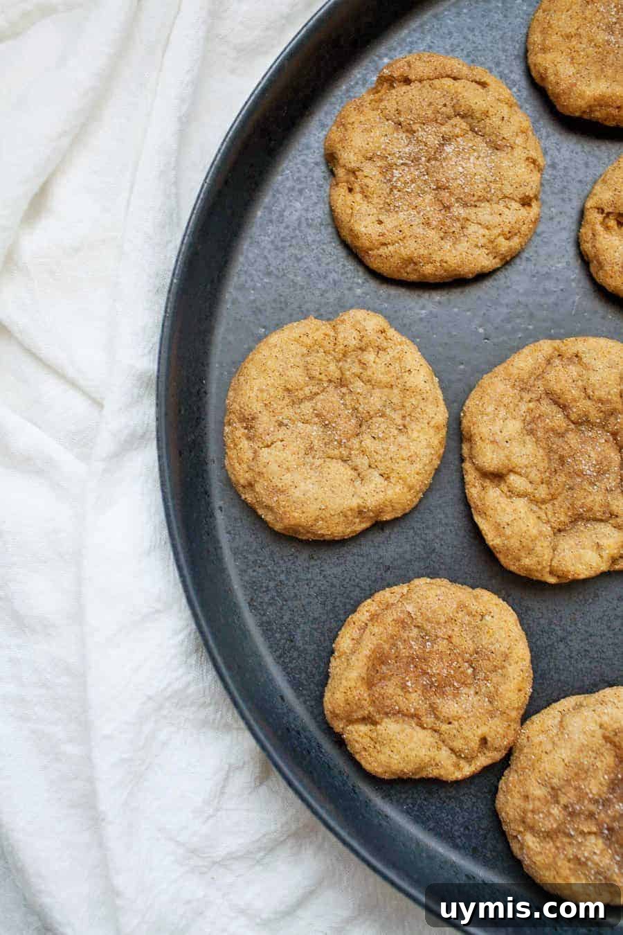 Pumpkin Snickerdoodle Cookies 4 Soft pumpkin snickerdoodle cookies with cinnamon sugar coating.