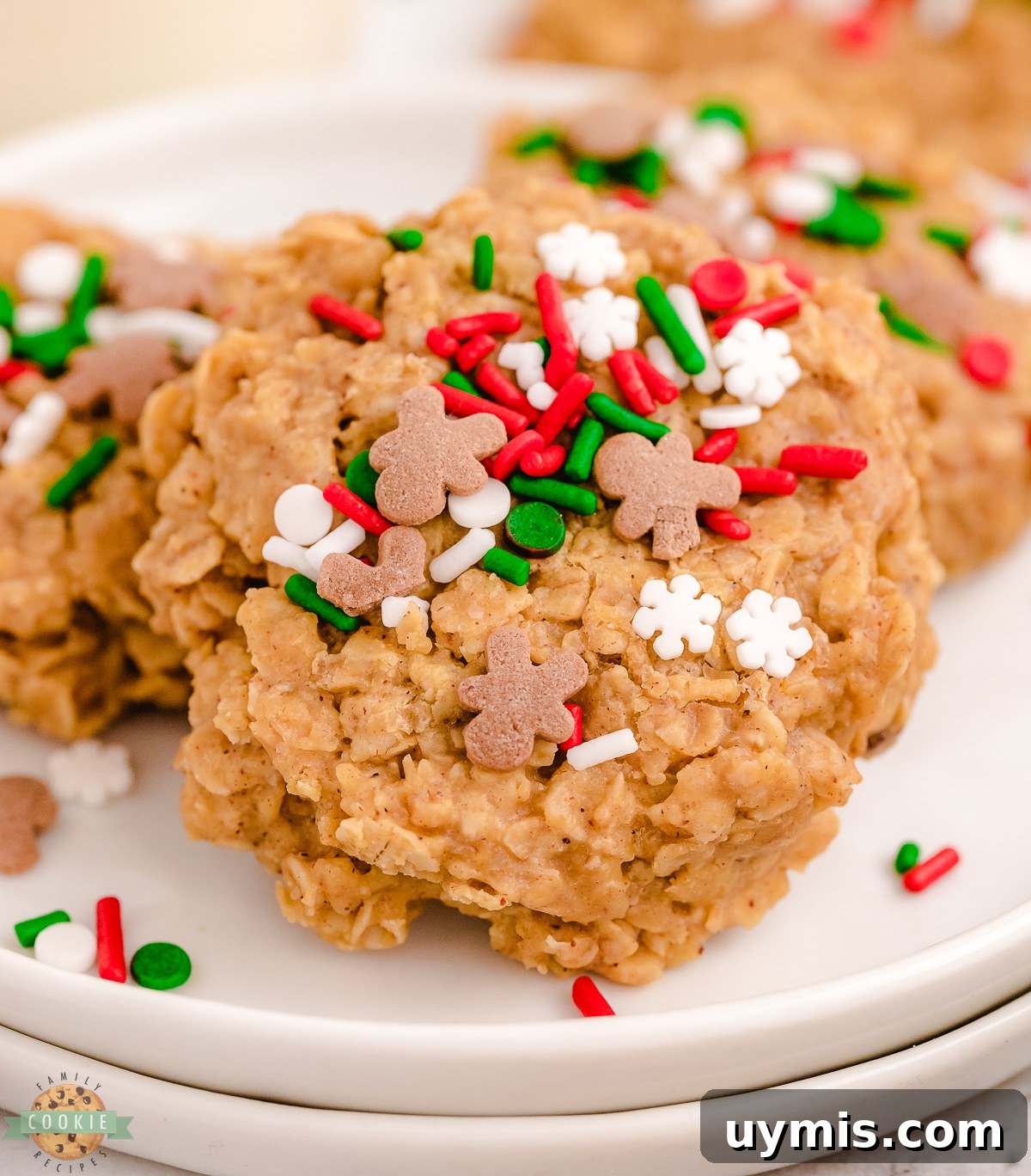 No-Bake Gingerbread Cookie Recipe: No Oven Needed 2 no bake gingerbread cookies with oats