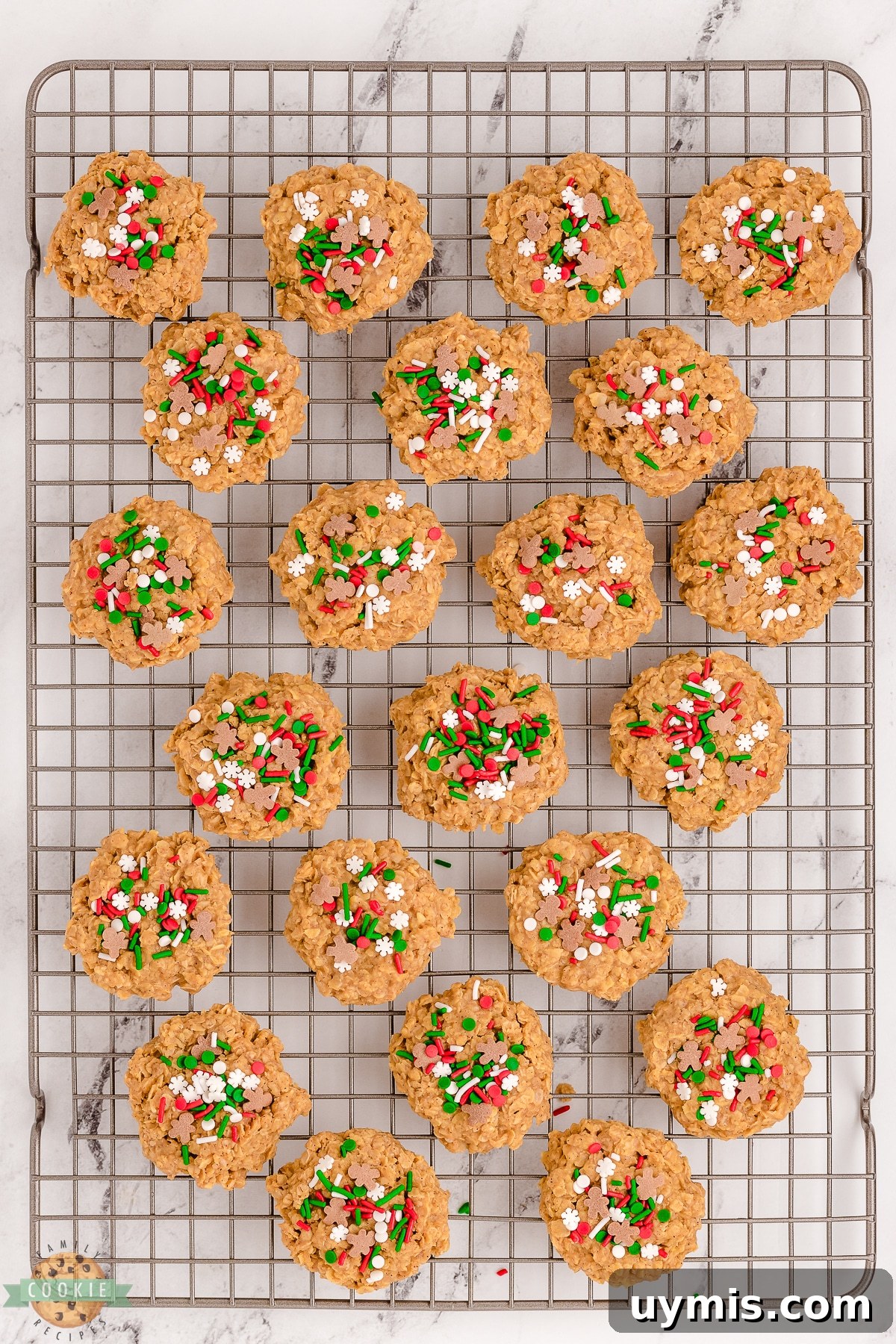 No-Bake Gingerbread Cookie Recipe: No Oven Needed 5 no bake gingerbread cookies on a cooling rack