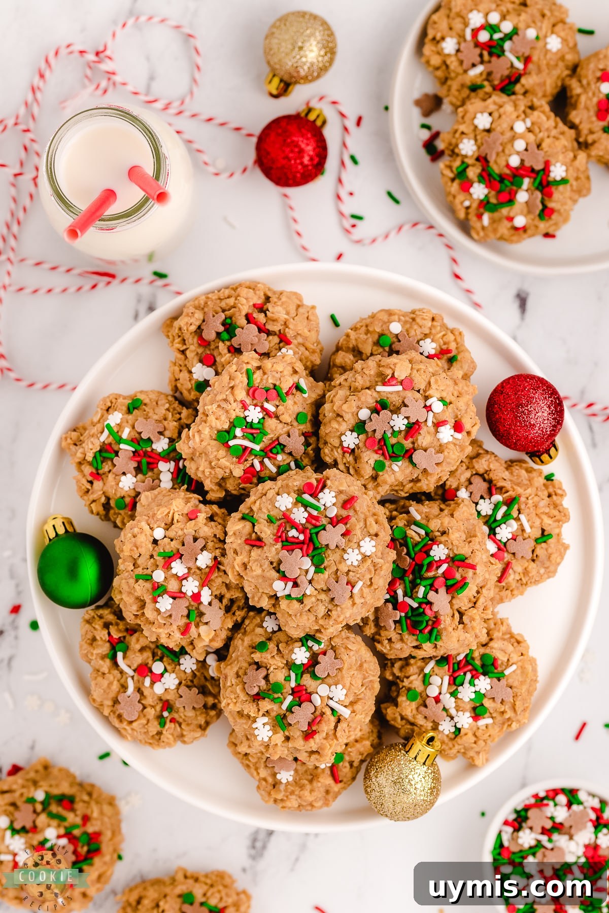 No-Bake Gingerbread Cookie Recipe: No Oven Needed 6 plate of no-bake Gingerbread cookies