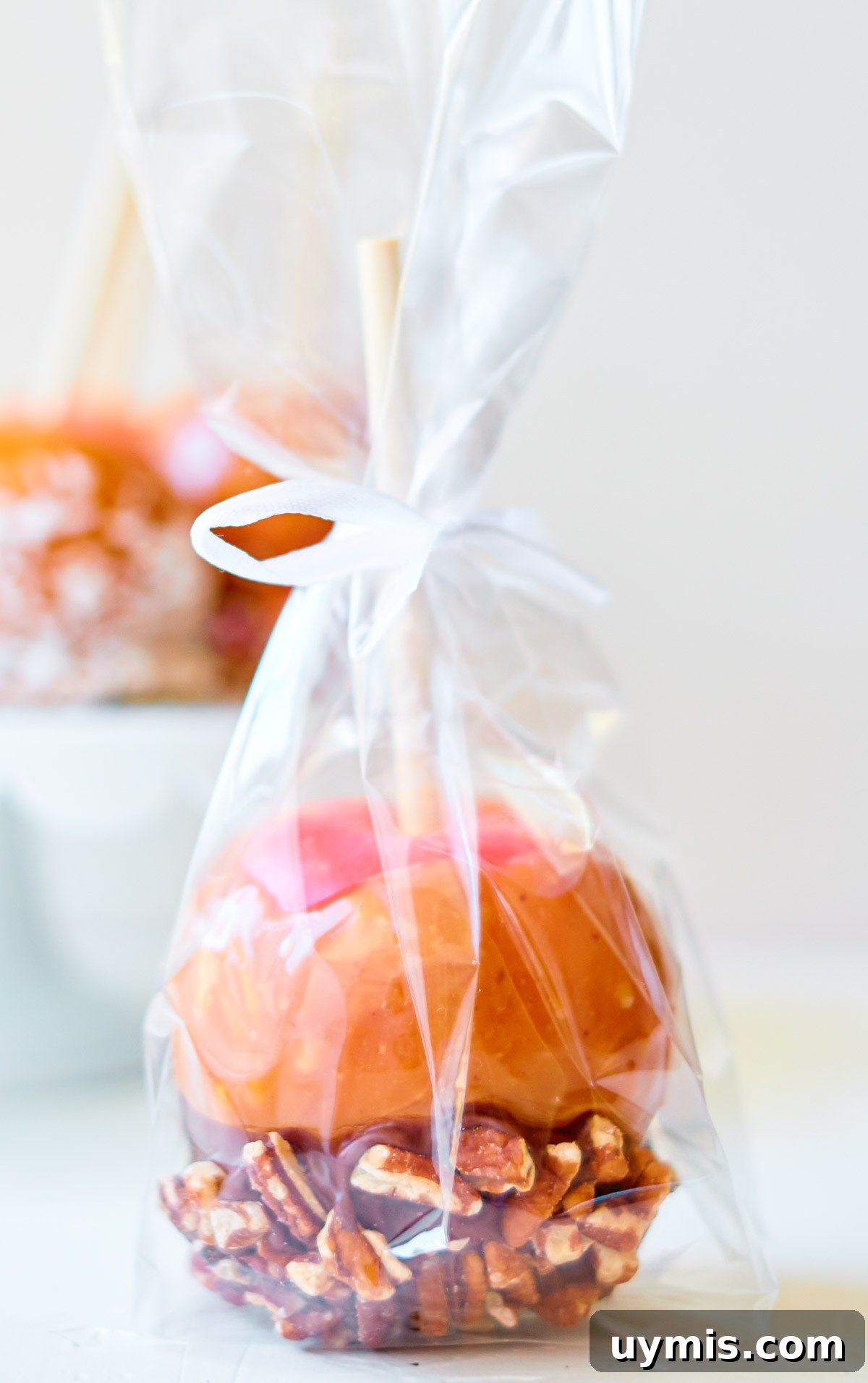 How to Make Caramel Apples: Classic Fall Recipe 6 A candy apple wrapped in plastic with a bow.