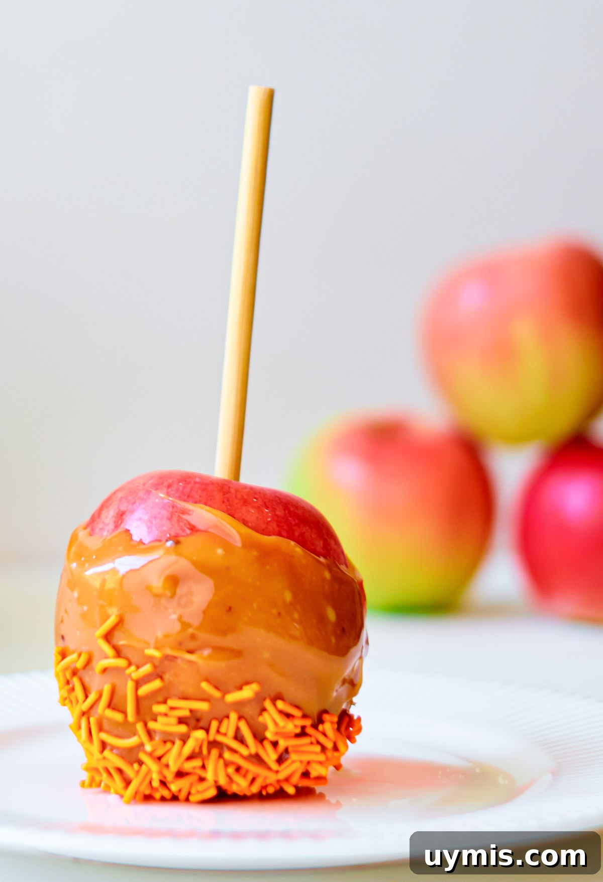How to Make Caramel Apples: Classic Fall Recipe 8 An apple dipped in caramel and sprinkles.