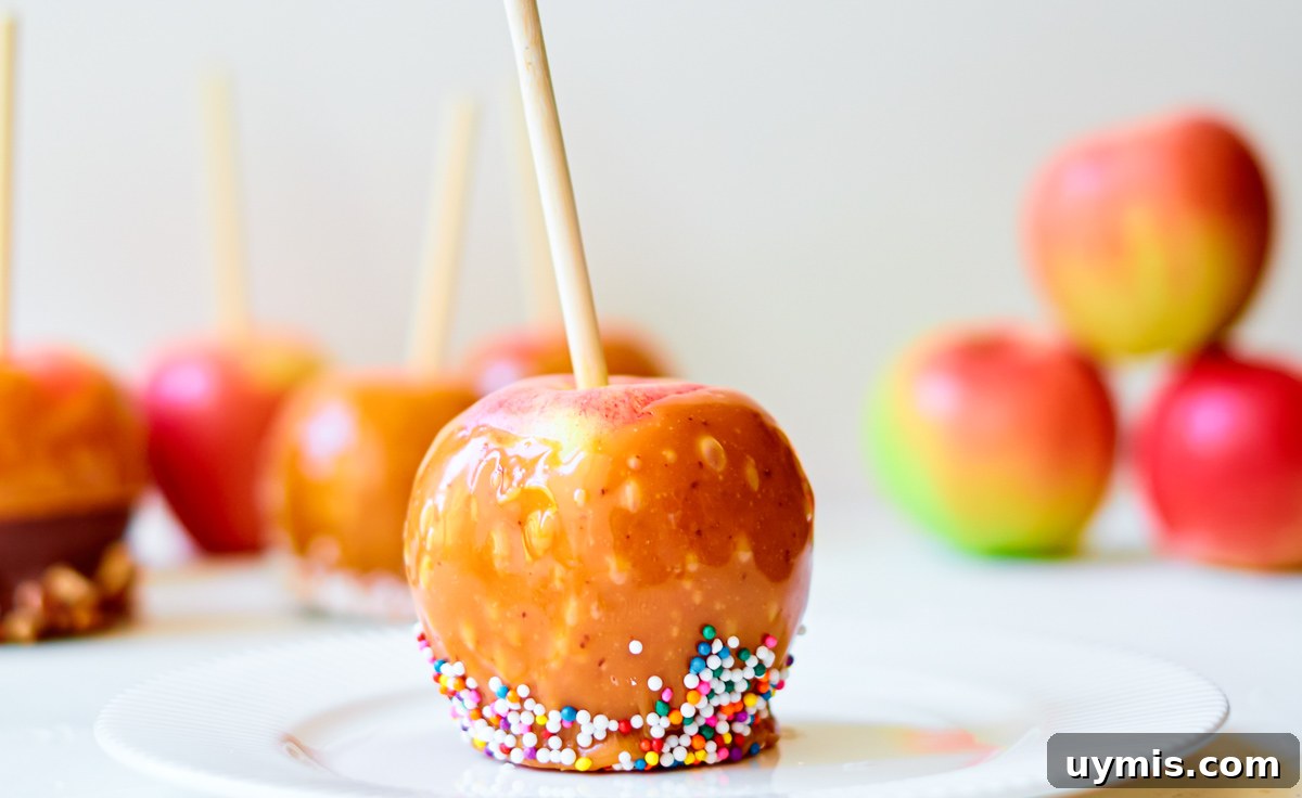 How to Make Caramel Apples: Classic Fall Recipe 9 An apple dipped in caramel and coloured balls.
