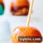 How to Make Caramel Apples: Classic Fall Recipe 10 An apple with caramel and sprinkles with a stick in it.