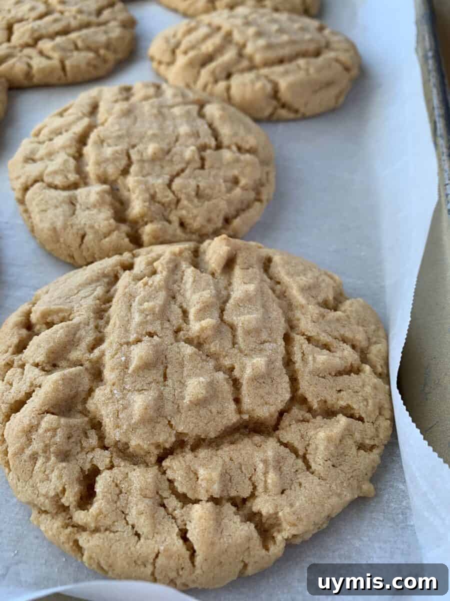 Classic Chewy Peanut Butter Cookies Recipe 8 Baked cookies on parchment paper, on a baking sheet.