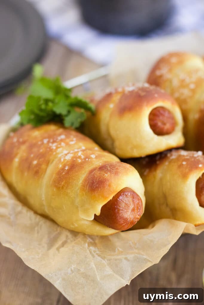 Pretzel Dogs Recipe: Soft Pretzel-Wrapped Hot Dogs 2 Pretzel hot dogs on a tray