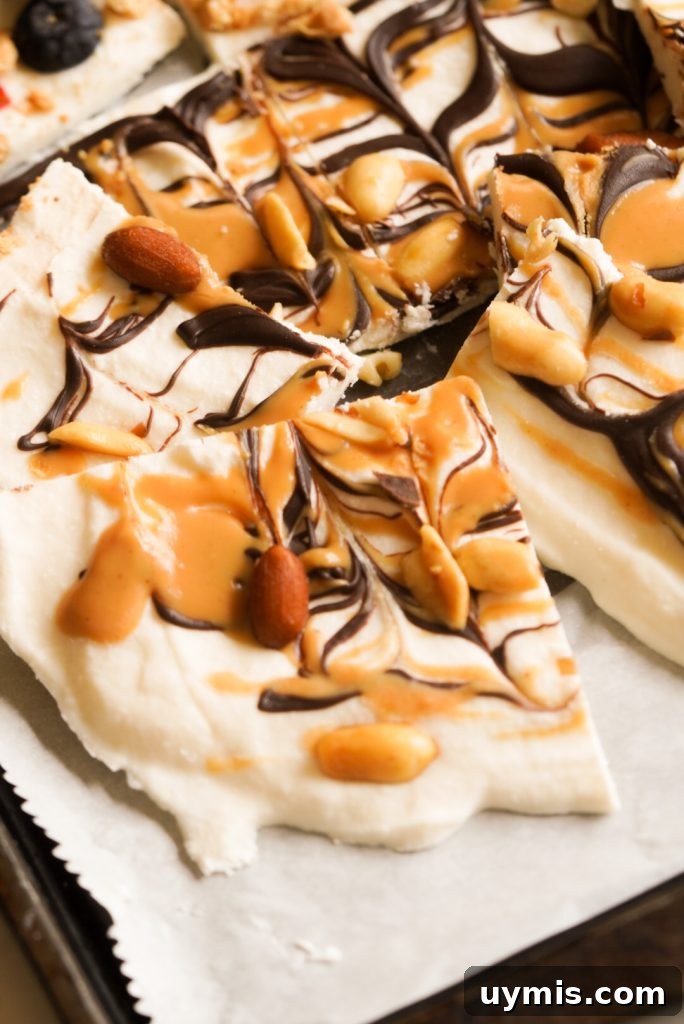 Viral High Protein Frozen Cottage Cheese Bark 12 slice of peanut butter chocolate swirl cottage cheese bark