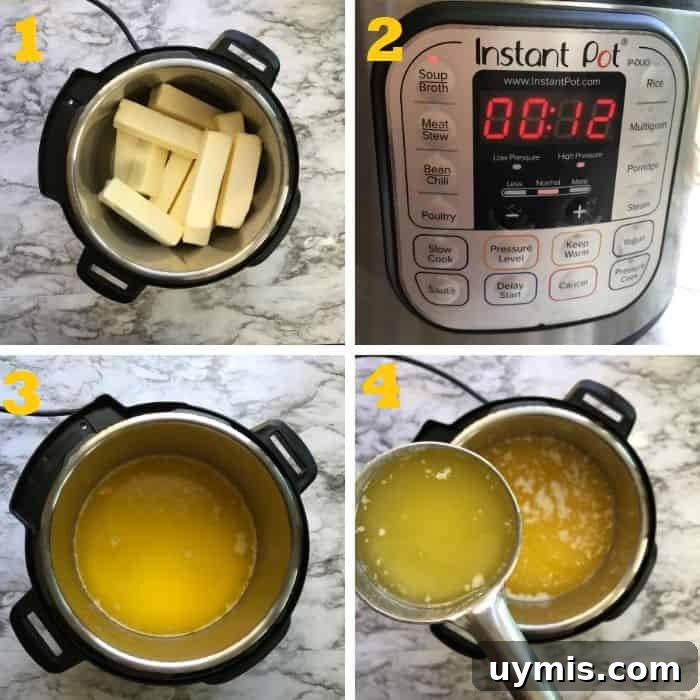 Instant Pot Ghee Recipe: Homemade Clarified Butter 7 Melting butter in instant pot step by step