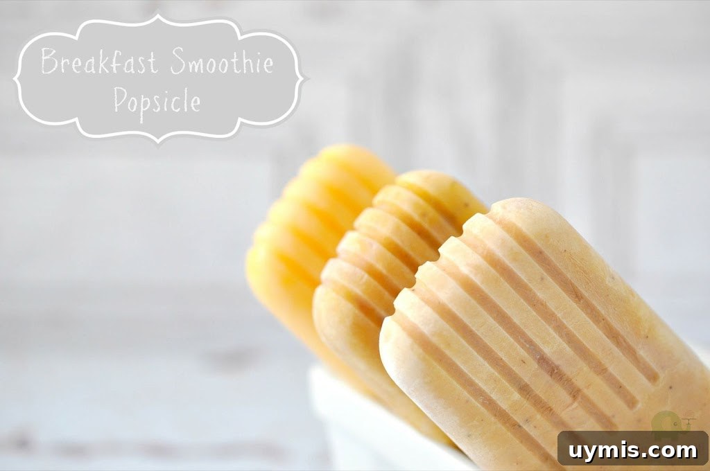 Blackberry Baileys Mini Creamsicle Recipes and Popsicle Roundup 5 Breakfast Smoothie Popsicles