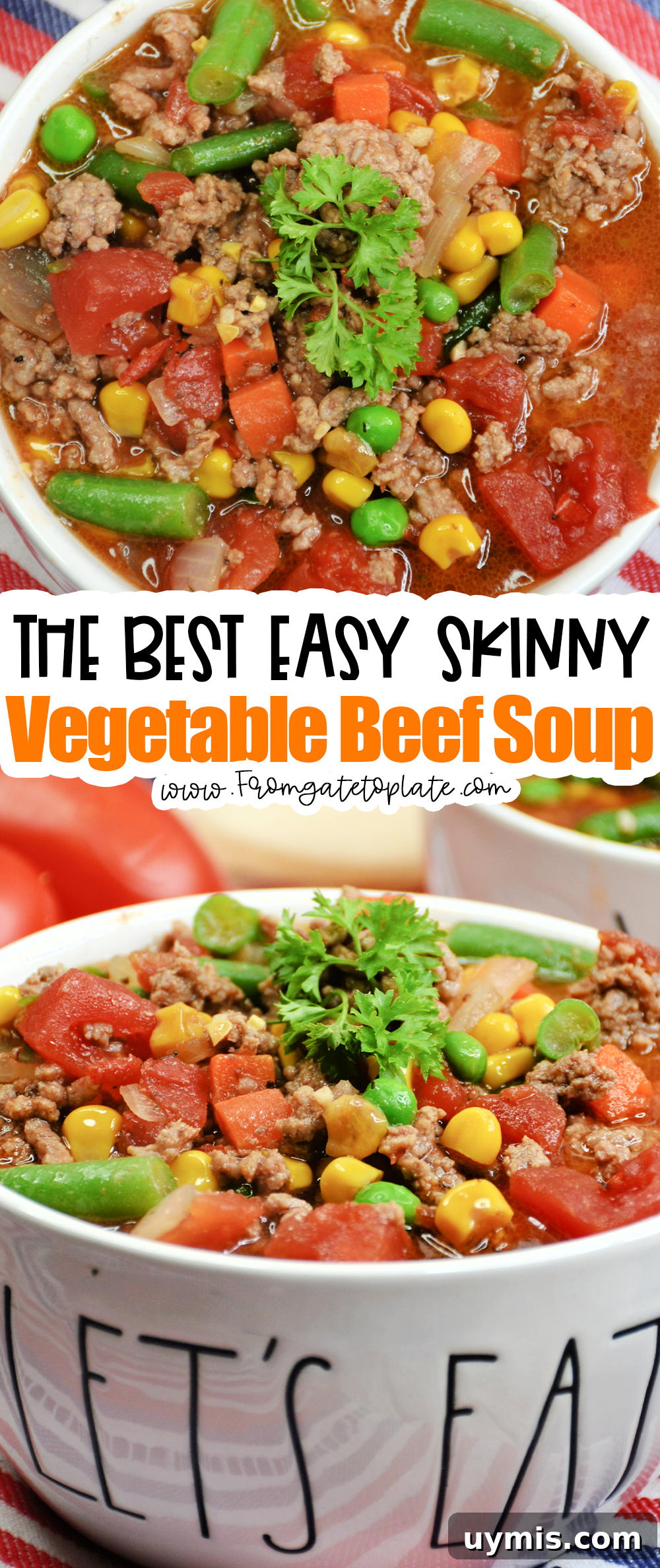 Skinny Vegetable Beef Soup