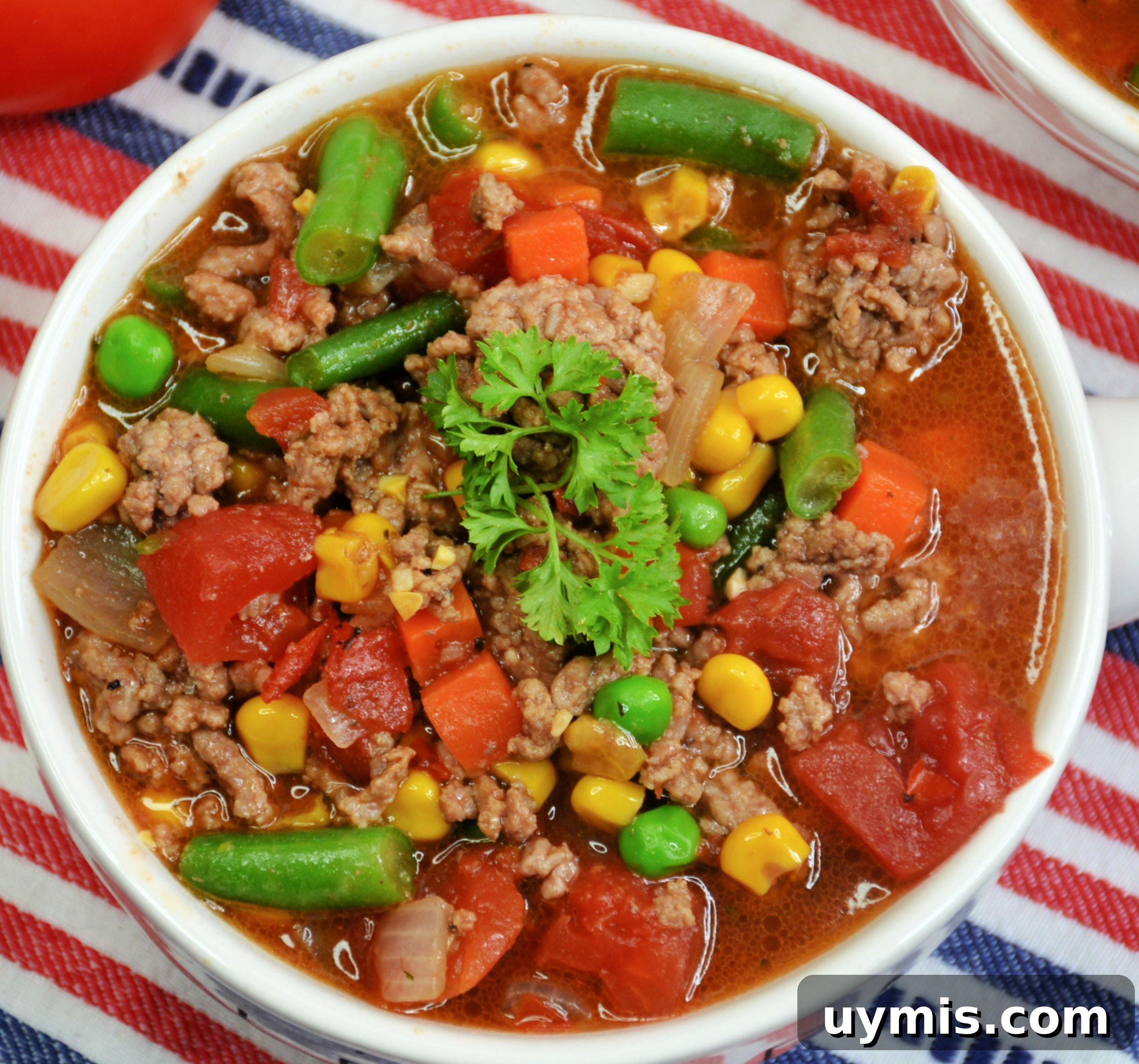 Skinny Vegetable Beef Soup
