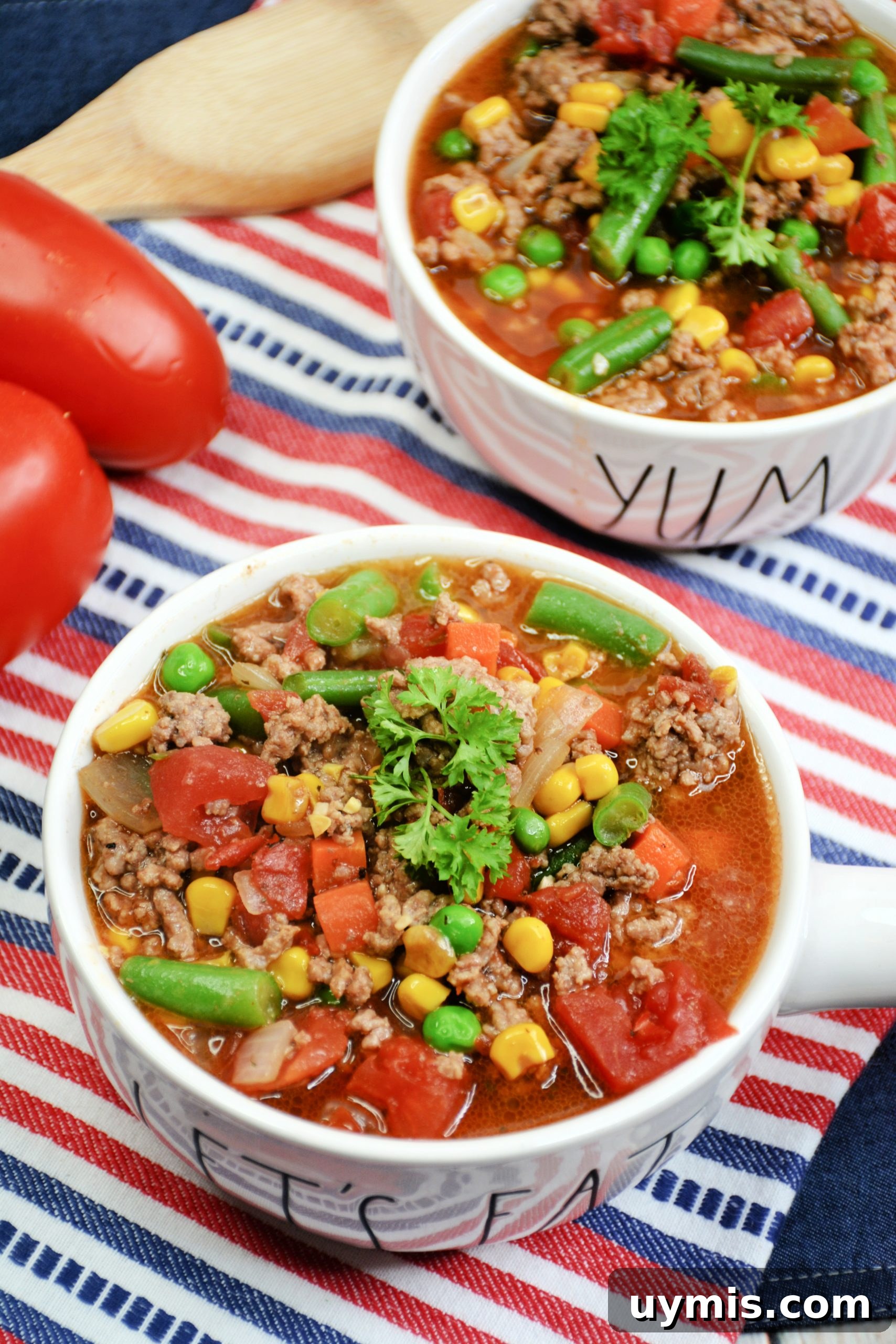 Skinny Vegetable Beef Soup