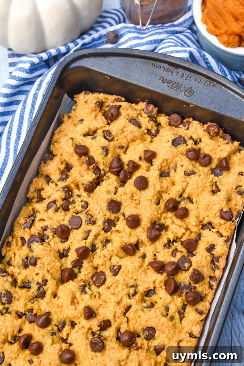 Pumpkin Chocolate Chip Cookie Bars Recipe 4 baked pumpkin chocolate chip cookie bars in a metal brownie pan