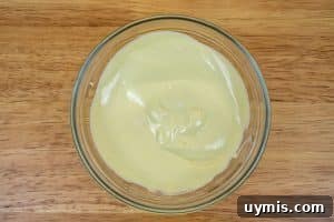 Garlic Aioli Without Mayo