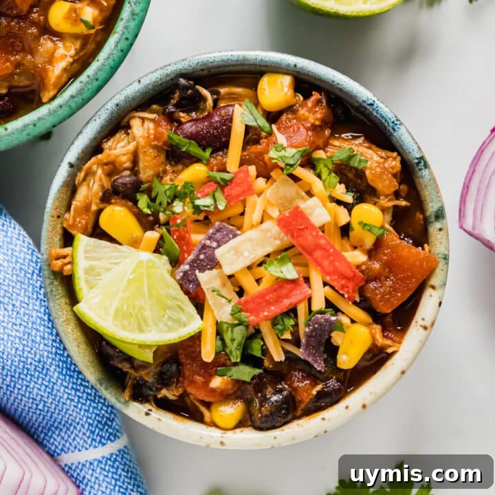 An overhead image of a bowl of chicken chili.