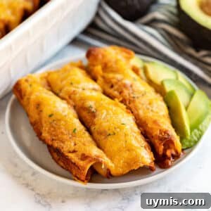 Chicken enchiladas on a white plate.