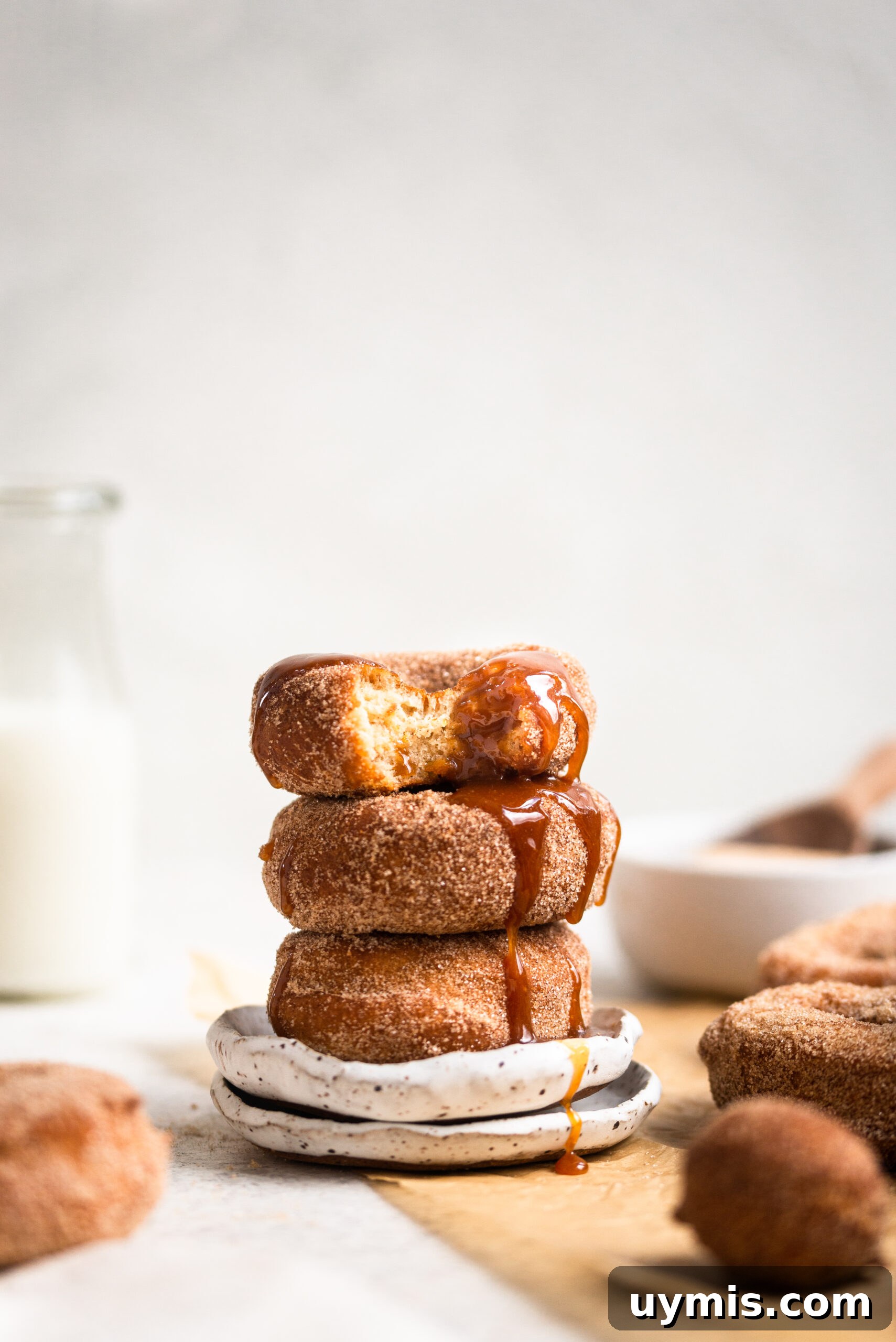 Homemade Fried Apple Cider Donuts Recipe 2 apple cider donuts