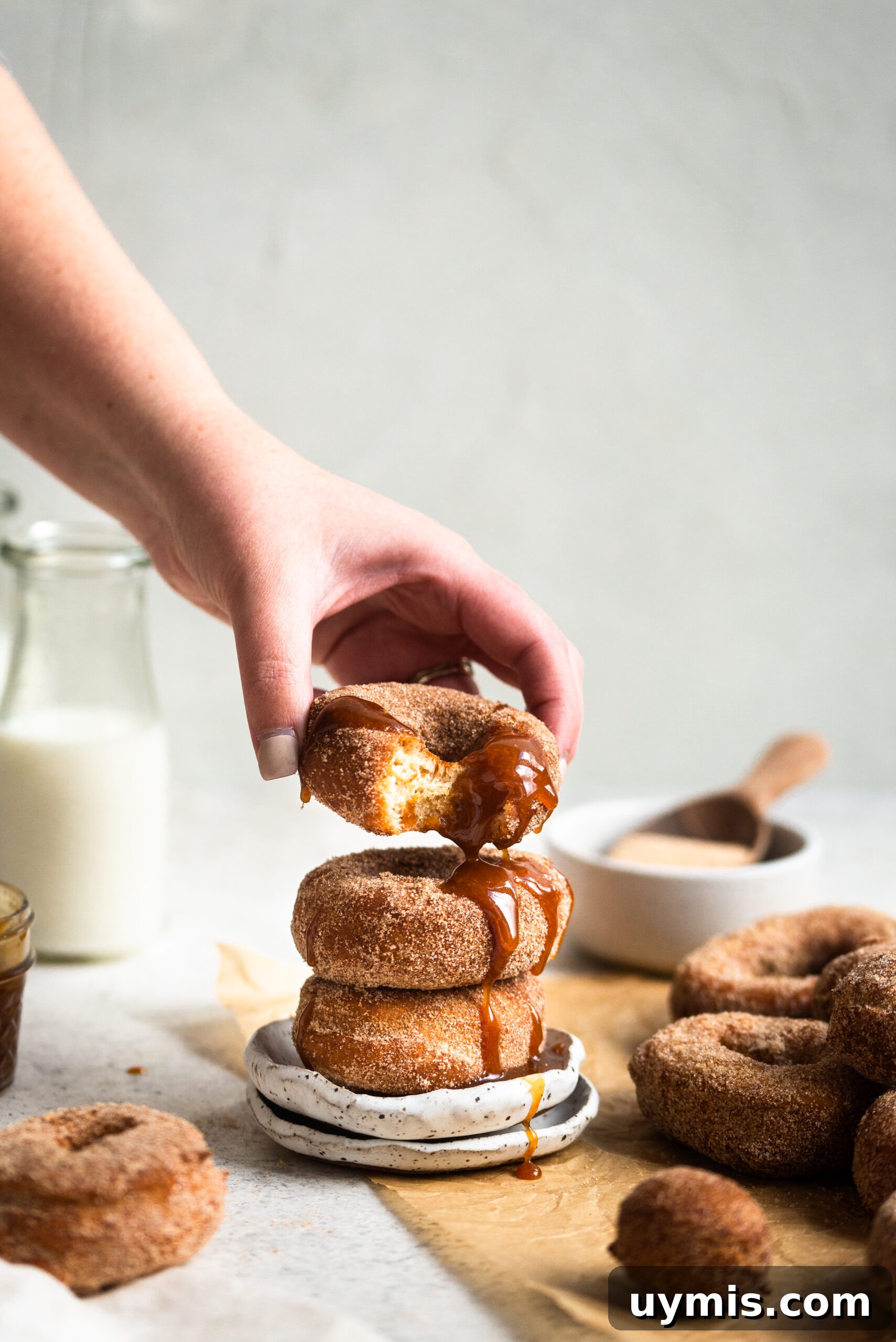 Homemade Fried Apple Cider Donuts Recipe 3 apple cider donuts