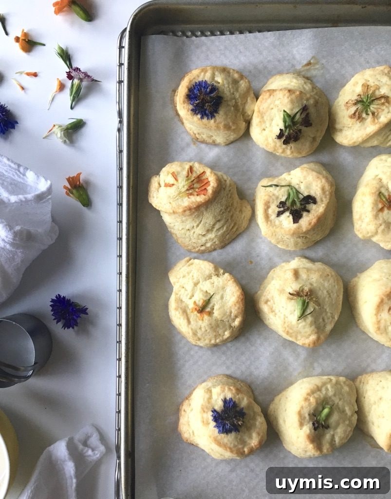 Lemon Cream Scones Recipe with Edible Flowers 8 Plate of lemon cream scones decorated with edible petals